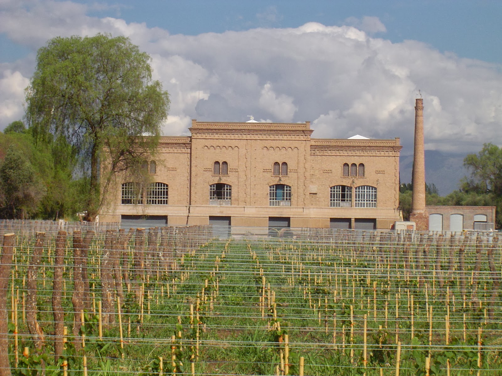 Vinos y Sabores de Maipu