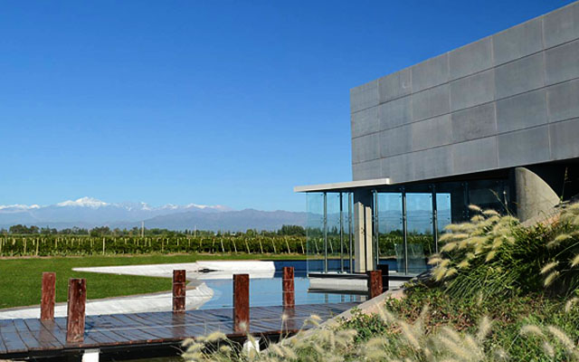 Tour de bodegas y viñedos por la tarde