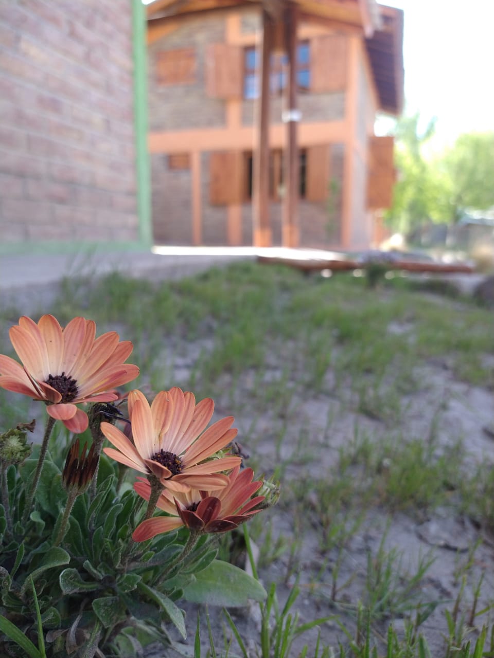 Cabañas Arroyo de Uco